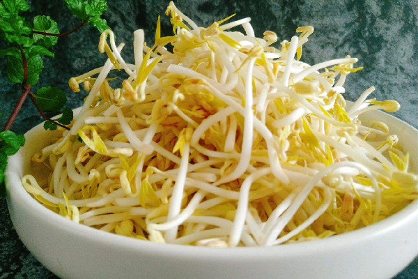 綠豆芽是高嘌呤食物嗎 綠豆芽痛風(fēng)患者能吃嗎 綠豆芽是高嘌呤食物嗎 綠豆芽痛風(fēng)患者能吃嗎