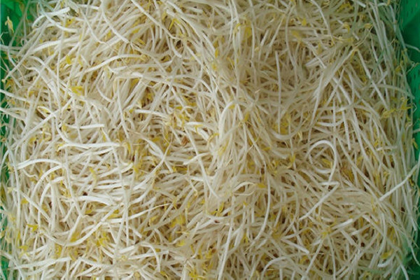 綠豆芽怎么發(fā)又快最好 綠豆芽需要幾天才能生長(zhǎng)出來