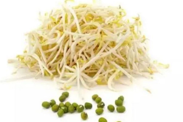 綠豆芽的功效和作用 綠豆芽可以經(jīng)常吃嗎 綠豆芽的功效和作用 綠豆芽可以經(jīng)常吃嗎
