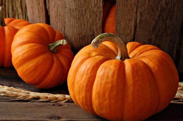 南瓜的營(yíng)養(yǎng)成分 南瓜的熱量高嗎 南瓜的營(yíng)養(yǎng)成分 南瓜的熱量高嗎