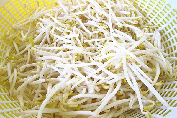 綠豆芽有點(diǎn)發(fā)紅能吃嗎 綠豆芽隔夜可以吃嗎 綠豆芽有點(diǎn)發(fā)紅能吃嗎 綠豆芽隔夜可以吃嗎