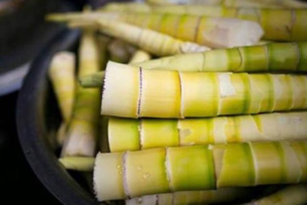 春筍有點(diǎn)黑還能吃嗎 春筍會(huì)過敏嗎 春筍有點(diǎn)黑還能吃嗎 春筍會(huì)過敏嗎