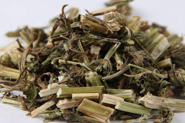 益母草可以治療盆腔炎嗎 益母草能治宮寒嗎 益母草可以治療盆腔炎嗎 益母草能治宮寒嗎