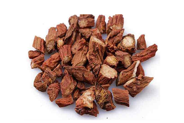 丹參是不是寒性的 丹參是不是人參 丹參是不是寒性的 丹參是不是人參