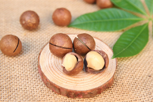 夏威夷果可以放多久 夏威夷果怎么存放 夏威夷果可以放多久 夏威夷果怎么存放