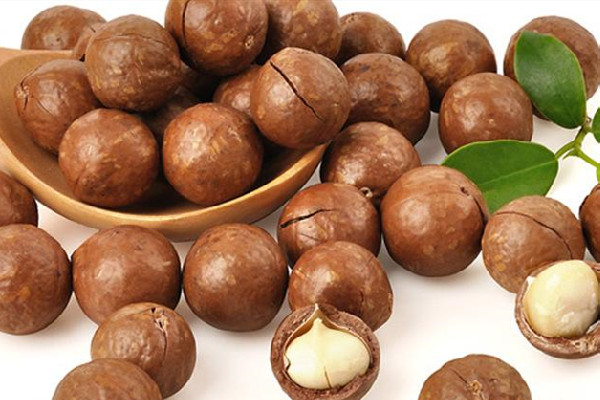 夏威夷果的奶香味是天然的嗎 夏威夷果什么味道好吃 夏威夷果的奶香味是天然的嗎 夏威夷果什么味道好吃