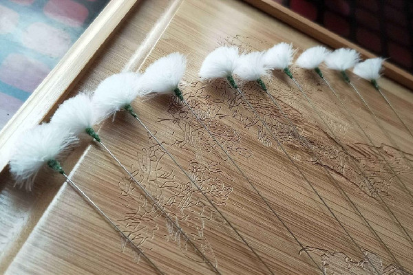 采耳多久一次為宜 采耳可以治療中耳炎嗎 采耳多久一次為宜 采耳可以治療中耳炎嗎