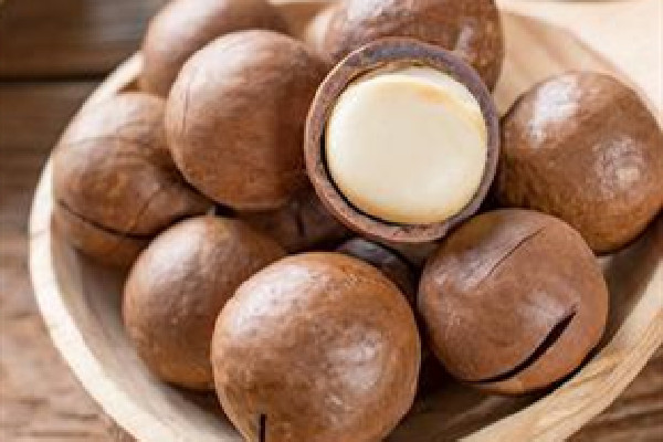 夏威夷果是熱性還是涼性 夏威夷果可以天天吃嗎 夏威夷果是熱性還是涼性 夏威夷果可以天天吃嗎