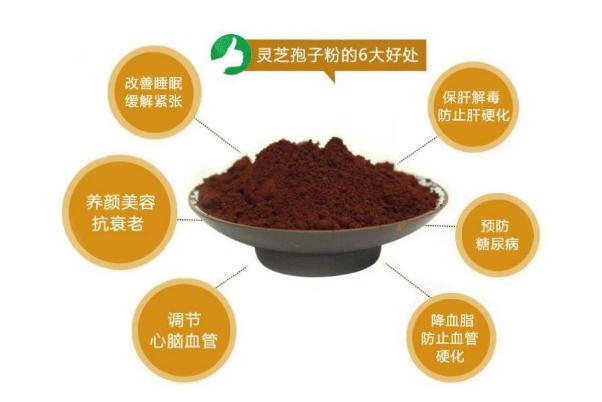 靈芝孢子粉要放冰箱嗎 靈芝孢子粉怎么保存 靈芝孢子粉要放冰箱嗎 靈芝孢子粉怎么保存