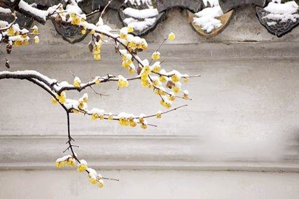 小寒是農(nóng)歷幾月幾號(hào) 小寒意味著什么 小寒是農(nóng)歷幾月幾號(hào) 小寒意味著什么