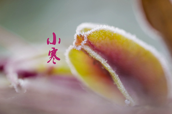 小寒節(jié)氣適合搬家嗎 小寒節(jié)氣怎么養(yǎng)生 小寒節(jié)氣適合搬家嗎 小寒節(jié)氣怎么養(yǎng)生