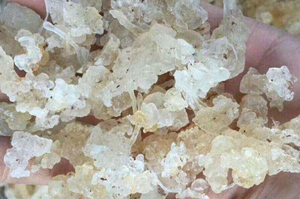 雪燕孕婦吃了怎么樣 孕婦到底能不能吃雪燕 雪燕孕婦吃了怎么樣 孕婦到底能不能吃雪燕