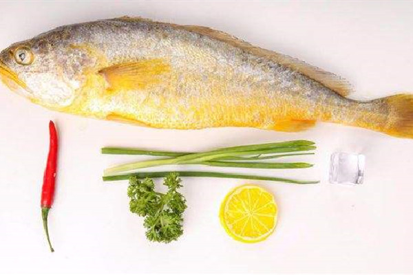 黃花魚是海魚還是淡水魚 黃花魚屬于海鮮嗎 黃花魚是海魚還是淡水魚 黃花魚屬于海鮮嗎