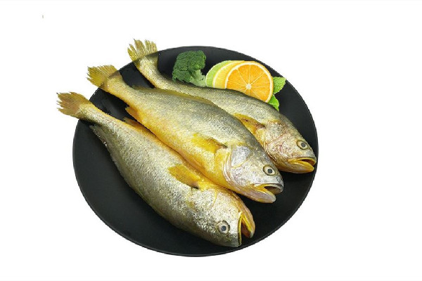 黃花魚是海魚還是淡水魚 黃花魚屬于海鮮嗎 黃花魚是海魚還是淡水魚 黃花魚屬于海鮮嗎