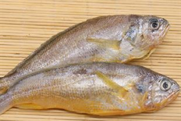黃花魚適合燉湯嗎 黃花魚燉湯好喝嗎 黃花魚適合燉湯嗎 黃花魚燉湯好喝嗎