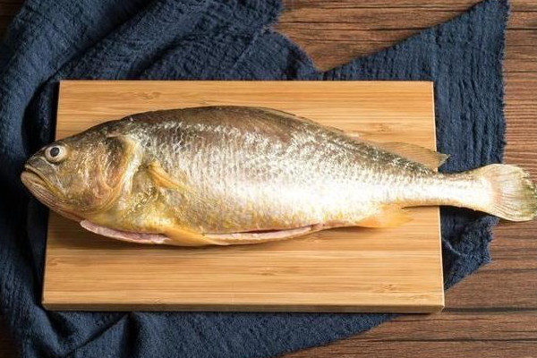 黃花魚有刺嗎 黃花魚適合孩子吃嗎 黃花魚有刺嗎 黃花魚適合孩子吃嗎