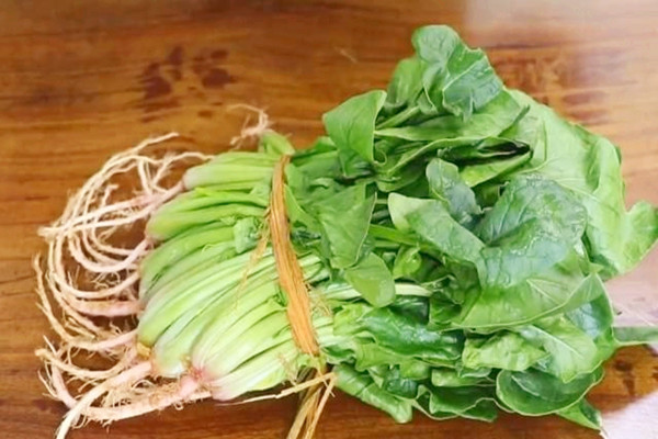 菠菜能不能天天吃 菠菜吃了對(duì)身體好嗎 菠菜能不能天天吃 菠菜吃了對(duì)身體好嗎