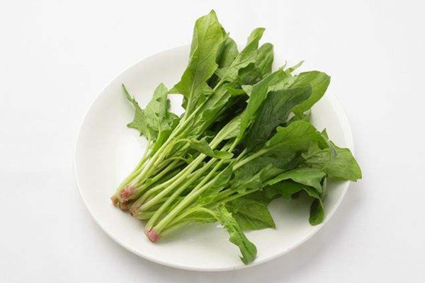 菠菜吃多了有什么影響 菠菜一天吃多少合適 菠菜吃多了有什么影響 菠菜一天吃多少合適