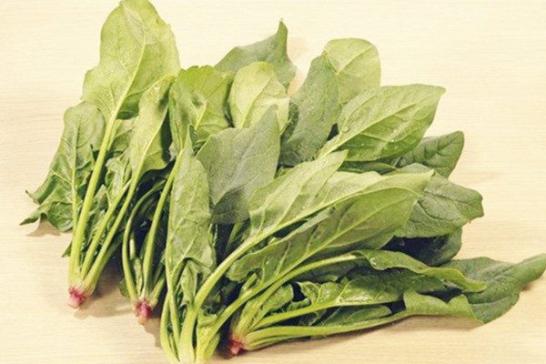 菠菜吃多了有什么影響 菠菜一天吃多少合適 菠菜吃多了有什么影響 菠菜一天吃多少合適