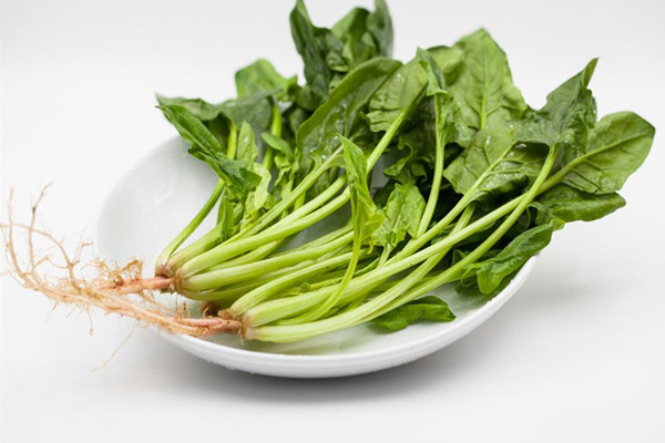 菠菜是否要焯水 菠菜不焯水可以吃嗎 菠菜是否要焯水 菠菜不焯水可以吃嗎