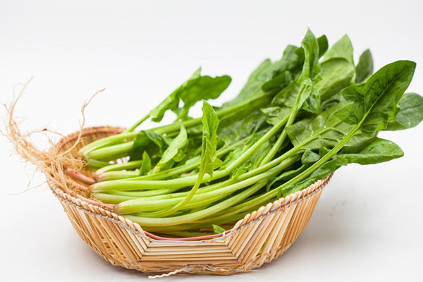 菠菜什么人不能吃 菠菜適合什么人吃 菠菜什么人不能吃 菠菜適合什么人吃