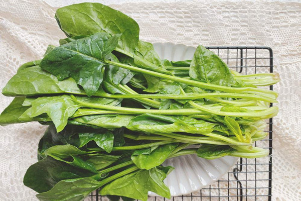 菠菜有什么營(yíng)養(yǎng)價(jià)值 菠菜有減肥功效嗎 菠菜有什么營(yíng)養(yǎng)價(jià)值 菠菜有減肥功效嗎