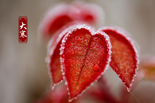 大寒節(jié)氣吃什么食物好 大寒節(jié)氣是幾九 大寒節(jié)氣吃什么食物好 大寒節(jié)氣是幾九