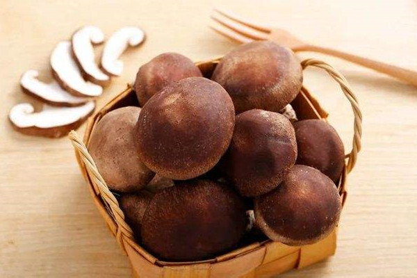 蘑菇長(zhǎng)白毛了還能吃嗎 蘑菇什么情況下就不能吃了 蘑菇長(zhǎng)白毛了還能吃嗎 蘑菇什么情況下就不能吃了