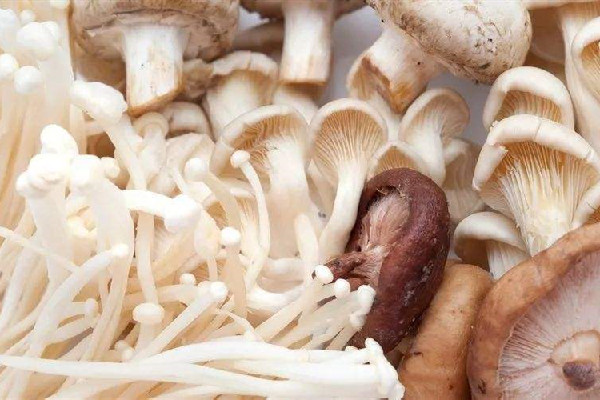 蘑菇有毒無(wú)毒怎么區(qū)分 蘑菇怎么吃不會(huì)中毒 蘑菇有毒無(wú)毒怎么區(qū)分 蘑菇怎么吃不會(huì)中毒