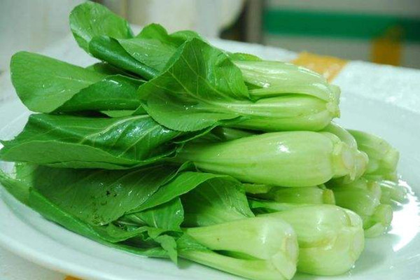 上海青能不能生吃 上海青可以涼拌著吃嗎 上海青能不能生吃 上海青可以涼拌著吃嗎