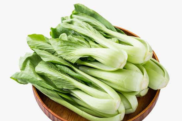 上海青可以包餃子吃嗎 上海青吃了會(huì)發(fā)胖嗎 上海青可以包餃子吃嗎 上海青吃了會(huì)發(fā)胖嗎