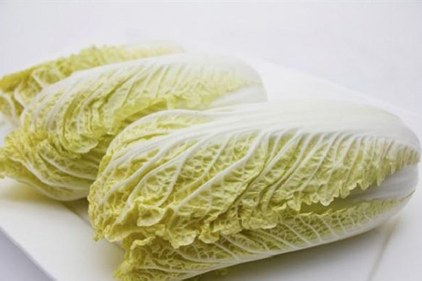 娃娃菜是轉基因的嗎 娃娃菜是白菜的一種嗎