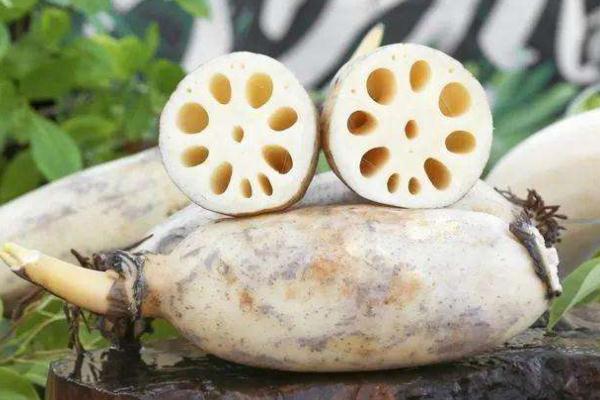 蓮藕會過敏嗎 吃藕會導(dǎo)致脹氣嗎 蓮藕會過敏嗎 吃藕會導(dǎo)致脹氣嗎