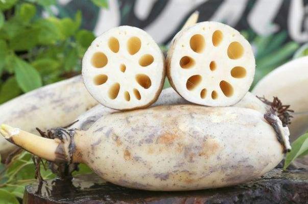 蓮藕是涼性還是熱性 蓮藕是根還是莖 蓮藕是涼性還是熱性 蓮藕是根還是莖