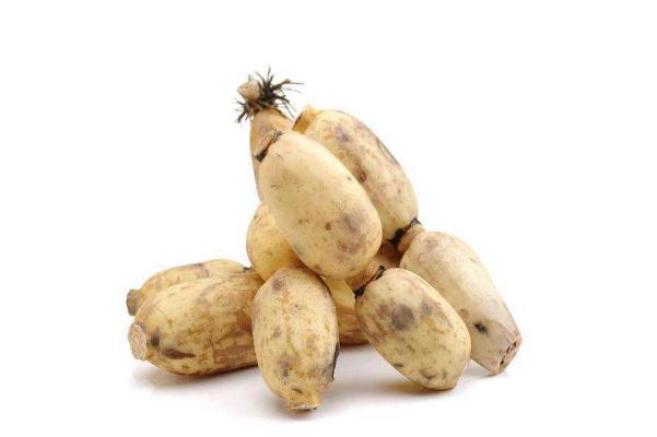 蓮藕是不是發(fā)物 蓮藕是碳水嗎 蓮藕是不是發(fā)物 蓮藕是碳水嗎