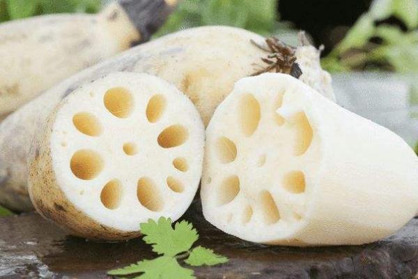 蓮藕會(huì)加重濕氣嗎 女人吃藕有什么好處 蓮藕會(huì)加重濕氣嗎 女人吃藕有什么好處