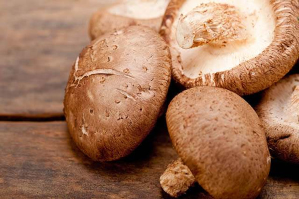 香菇的熱量是多少大卡 香菇吃了會不會長胖 香菇的熱量是多少大卡 香菇吃了會不會長胖