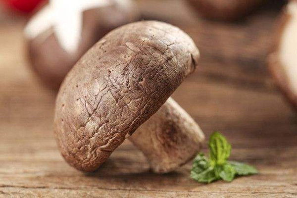 香菇可以經(jīng)常吃嗎 香菇一天吃多少適宜 香菇可以經(jīng)常吃嗎 香菇一天吃多少適宜