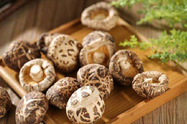 香菇孕婦可以吃嗎 香菇孕婦吃了有什么好處