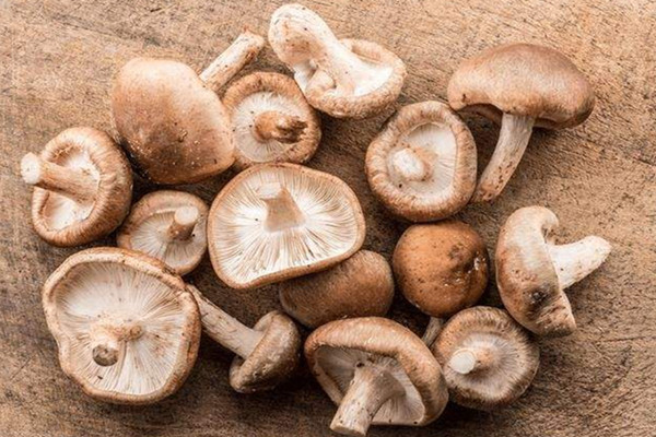 香菇有哪些營養(yǎng)價值 香菇有點發(fā)霉了還能吃嗎 香菇有哪些營養(yǎng)價值 香菇有點發(fā)霉了還能吃嗎