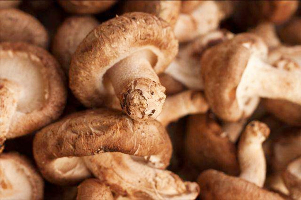 香菇有哪些營養(yǎng)價值 香菇有點發(fā)霉了還能吃嗎 香菇有哪些營養(yǎng)價值 香菇有點發(fā)霉了還能吃嗎