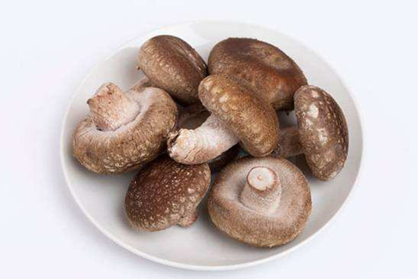 香菇能和胡蘿卜一起吃嗎 香菇能和雞蛋一起吃嗎 香菇能和胡蘿卜一起吃嗎 香菇能和雞蛋一起吃嗎