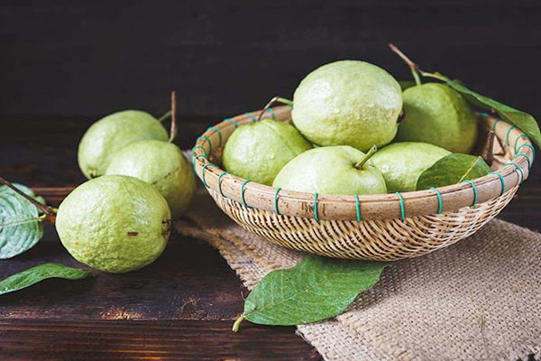 番石榴的皮能吃嗎 番石榴要放軟了才能吃嗎 番石榴的皮能吃嗎 番石榴要放軟了才能吃嗎