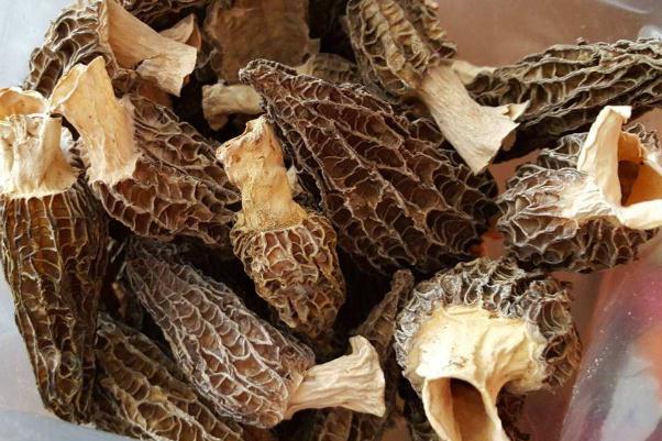 羊肚菌孕婦可以吃嗎 羊肚菌孕婦一次放幾個(gè) 羊肚菌孕婦可以吃嗎 羊肚菌孕婦一次放幾個(gè)