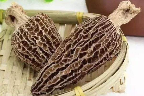 羊肚菌孕婦可以吃嗎 羊肚菌孕婦一次放幾個(gè) 羊肚菌孕婦可以吃嗎 羊肚菌孕婦一次放幾個(gè)