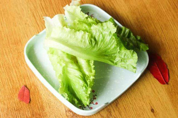 生菜一年四季都有嗎 生菜是轉(zhuǎn)基因蔬菜嗎 生菜一年四季都有嗎 生菜是轉(zhuǎn)基因蔬菜嗎