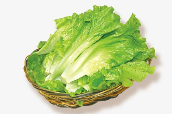 生菜的熱量是多少大卡 生菜吃了會不會長胖 生菜的熱量是多少大卡 生菜吃了會不會長胖