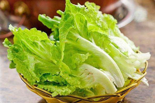 生菜的營養(yǎng)價值是什么 生菜可以涼拌吃嗎 生菜的營養(yǎng)價值是什么 生菜可以涼拌吃嗎