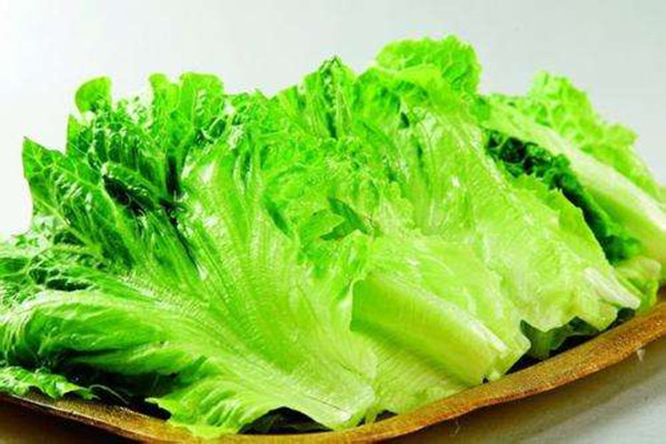 生菜的營養(yǎng)價值是什么 生菜可以涼拌吃嗎 生菜的營養(yǎng)價值是什么 生菜可以涼拌吃嗎
