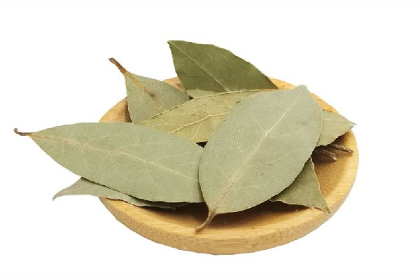 香葉的功效和作用 香葉可以用什么代替 香葉的功效和作用 香葉可以用什么代替